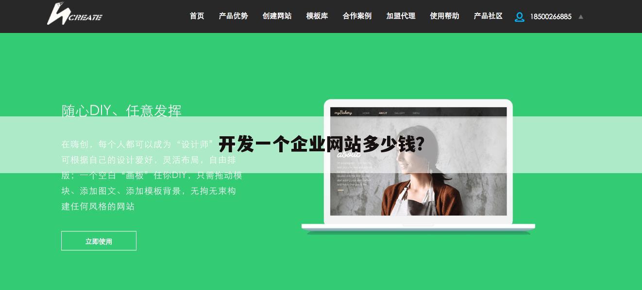 开发一个企业网站多少钱?