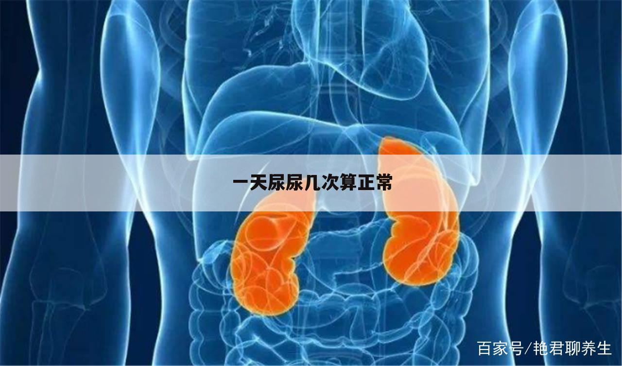 一天尿尿几次算正常