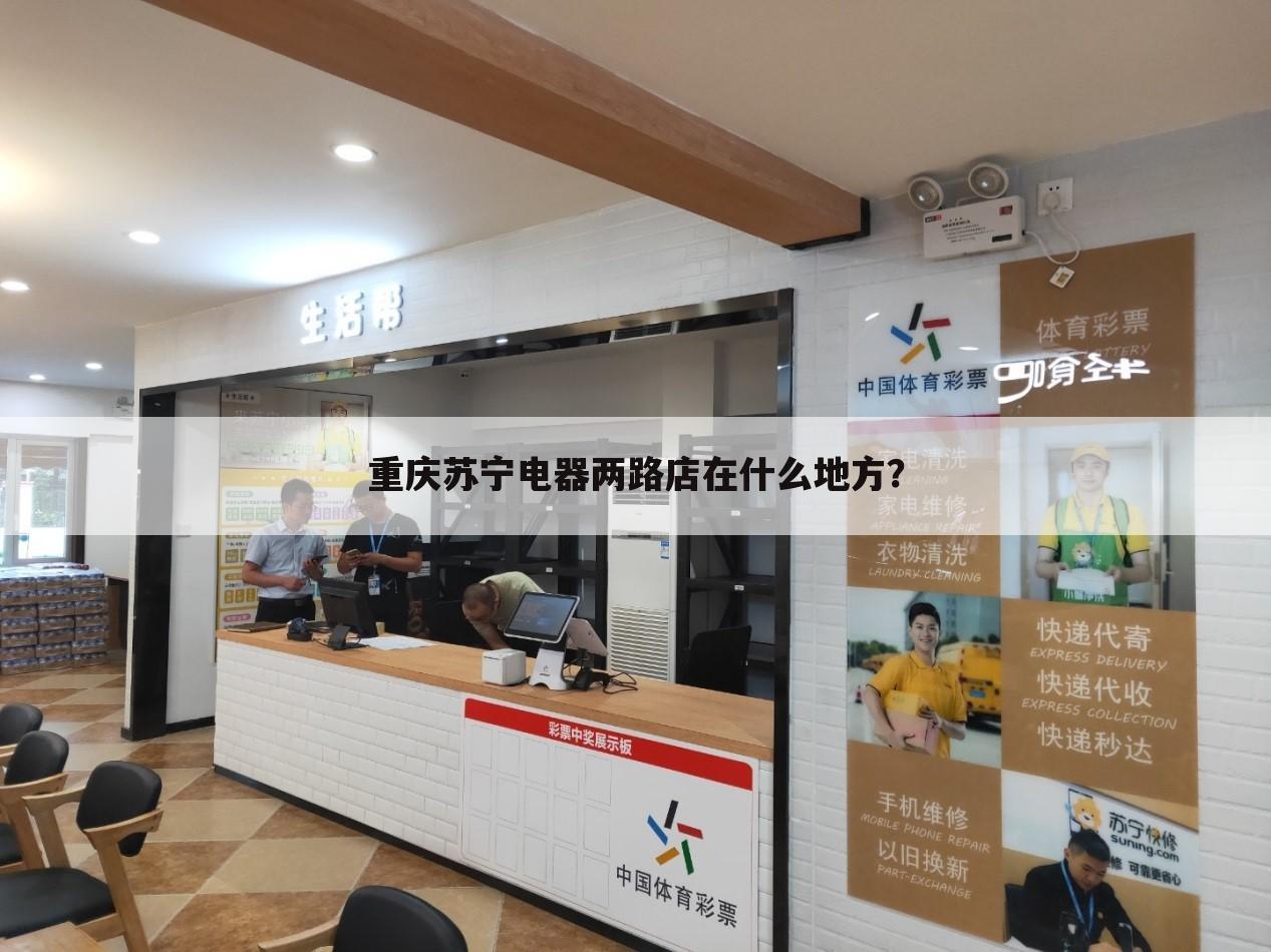 重庆苏宁电器两路店在什么地方?