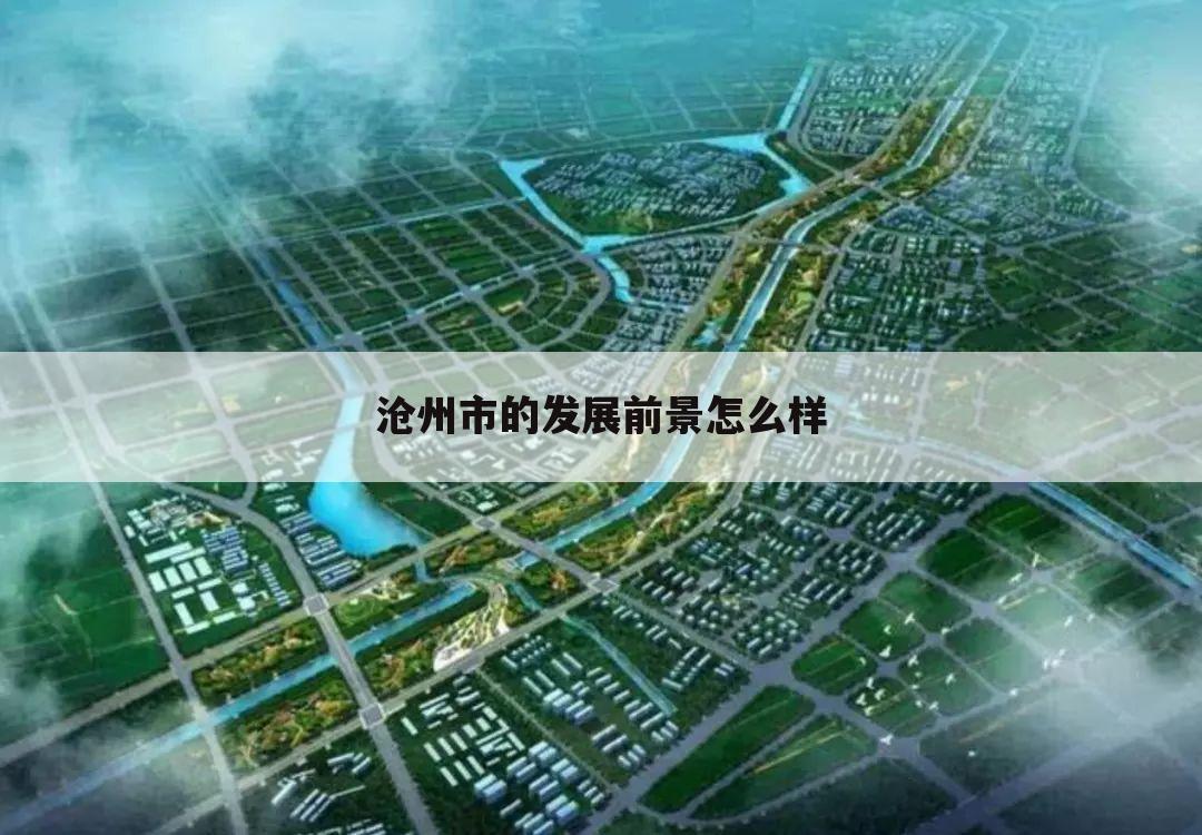 沧州市的发展前景怎么样