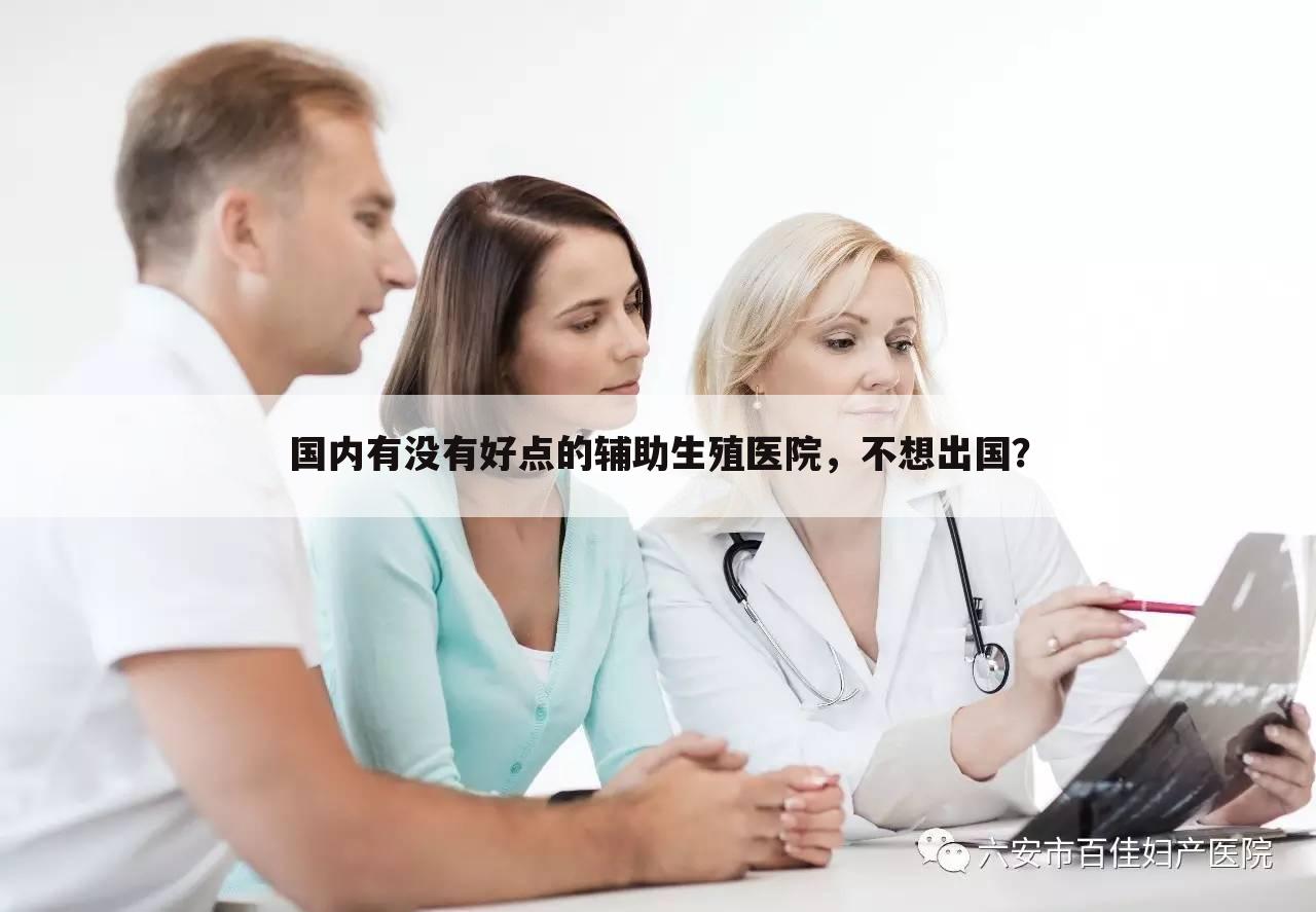 国内有没有好点的辅助生殖医院，不想出国？