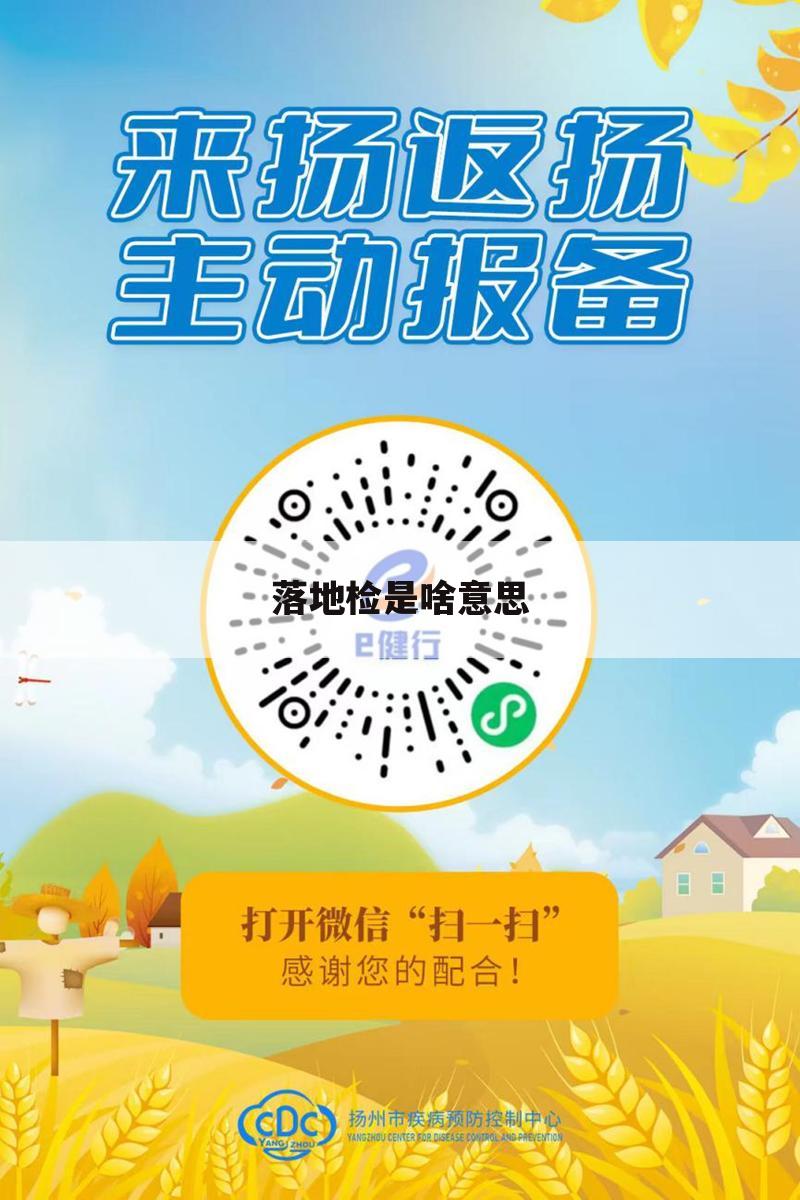 落地检是啥意思