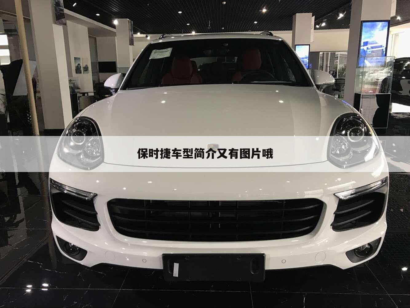 保时捷车型简介又有图片哦