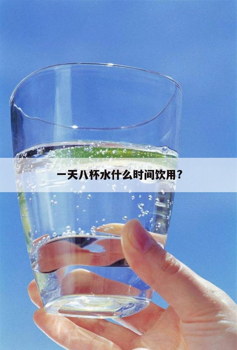 一天八杯水什么时间饮用?