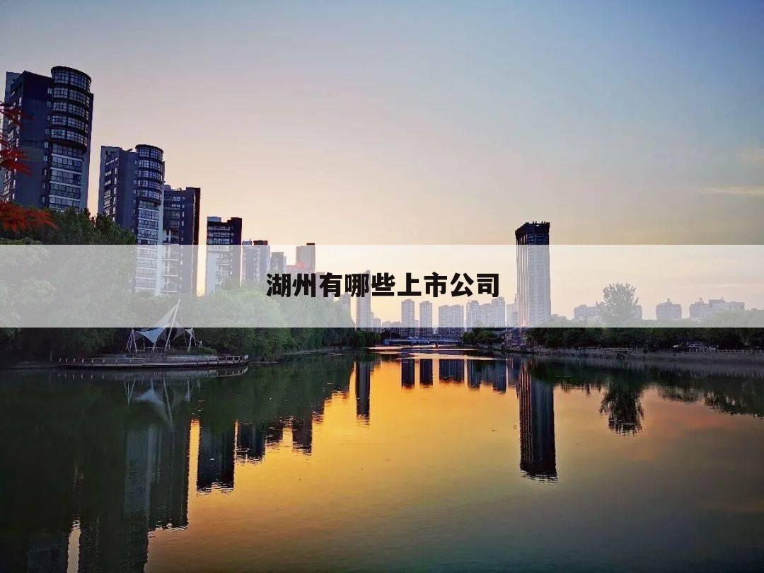 湖州有哪些上市公司