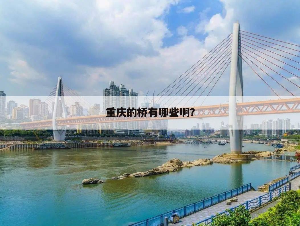 重庆的桥有哪些啊?