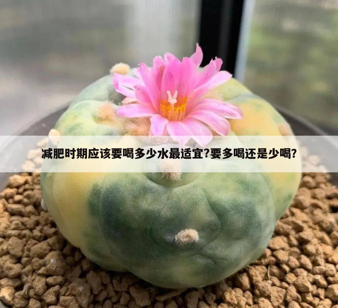 减肥时期应该要喝多少水最适宜?要多喝还是少喝？