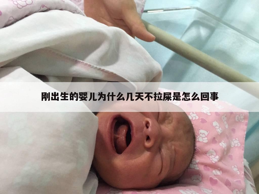 刚出生的婴儿为什么几天不拉屎是怎么回事
