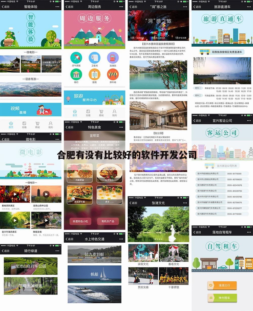 合肥有没有比较好的软件开发公司
