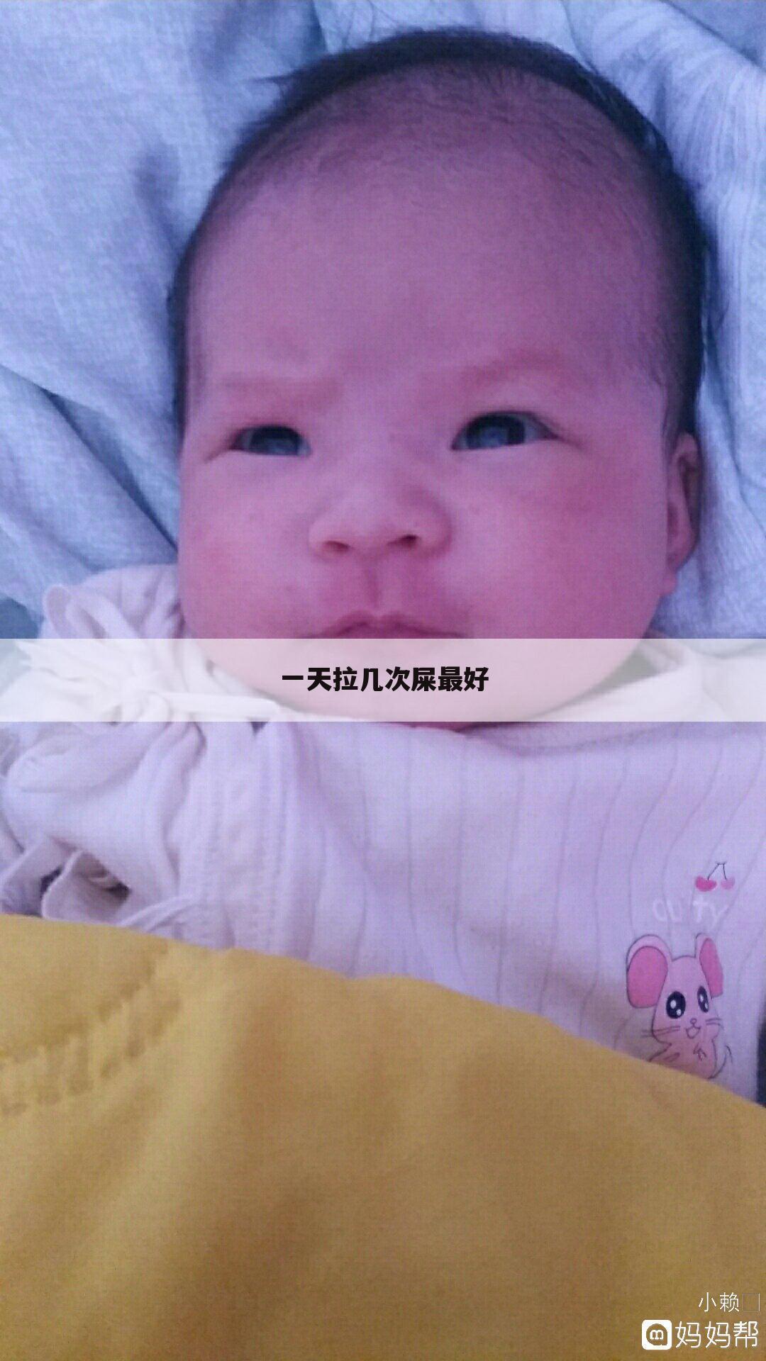 一天拉几次屎最好