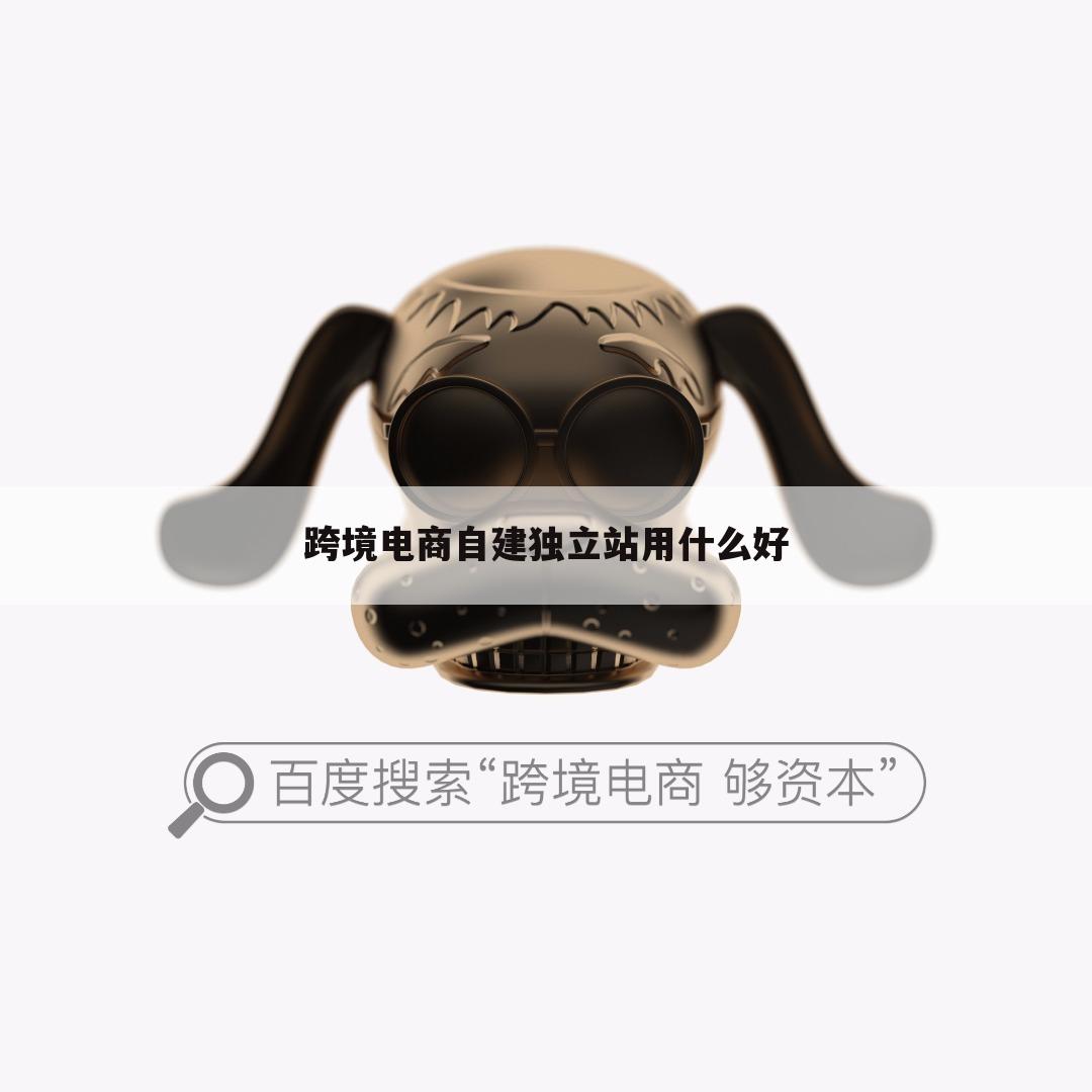 跨境电商自建独立站用什么好