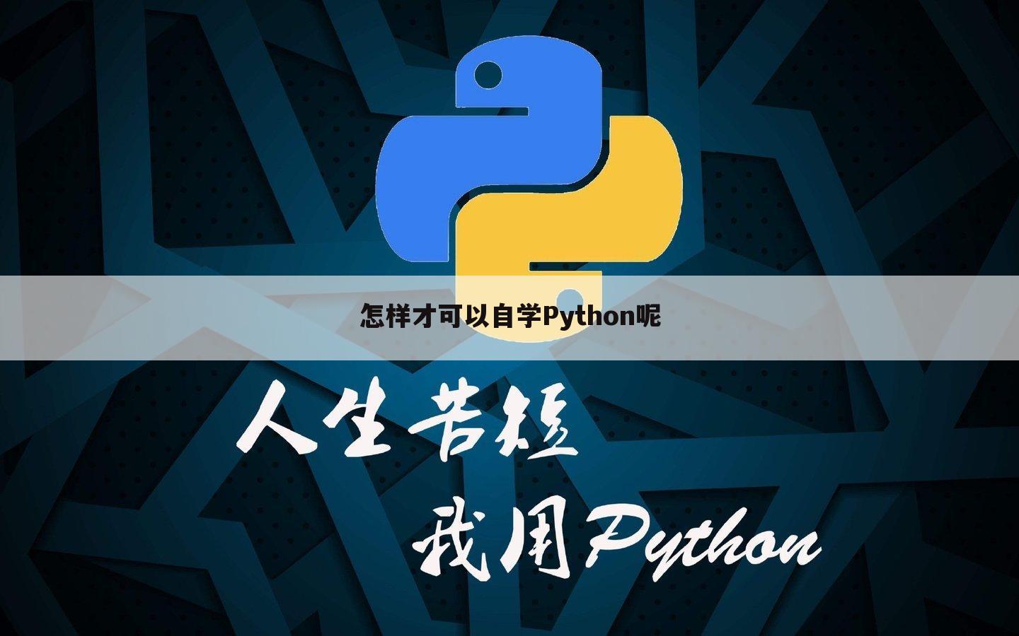 怎样才可以自学Python呢