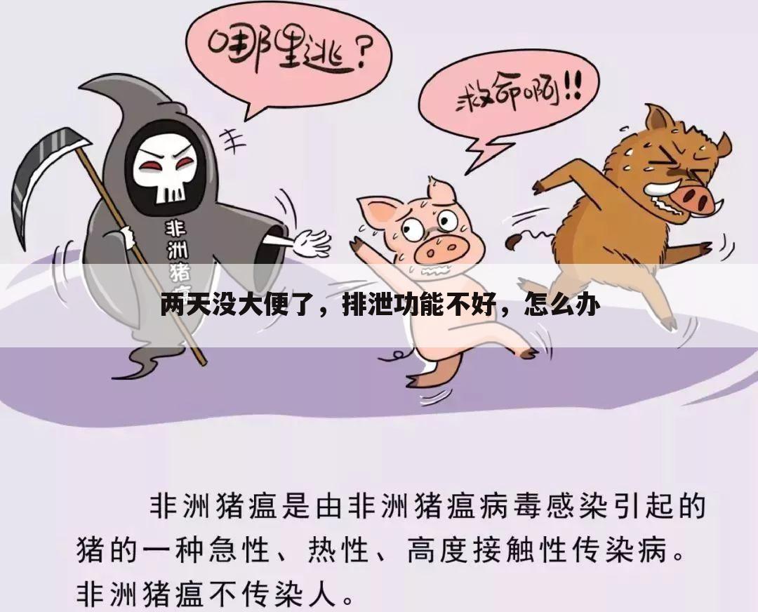 两天没大便了,排泄功能不好,怎么办