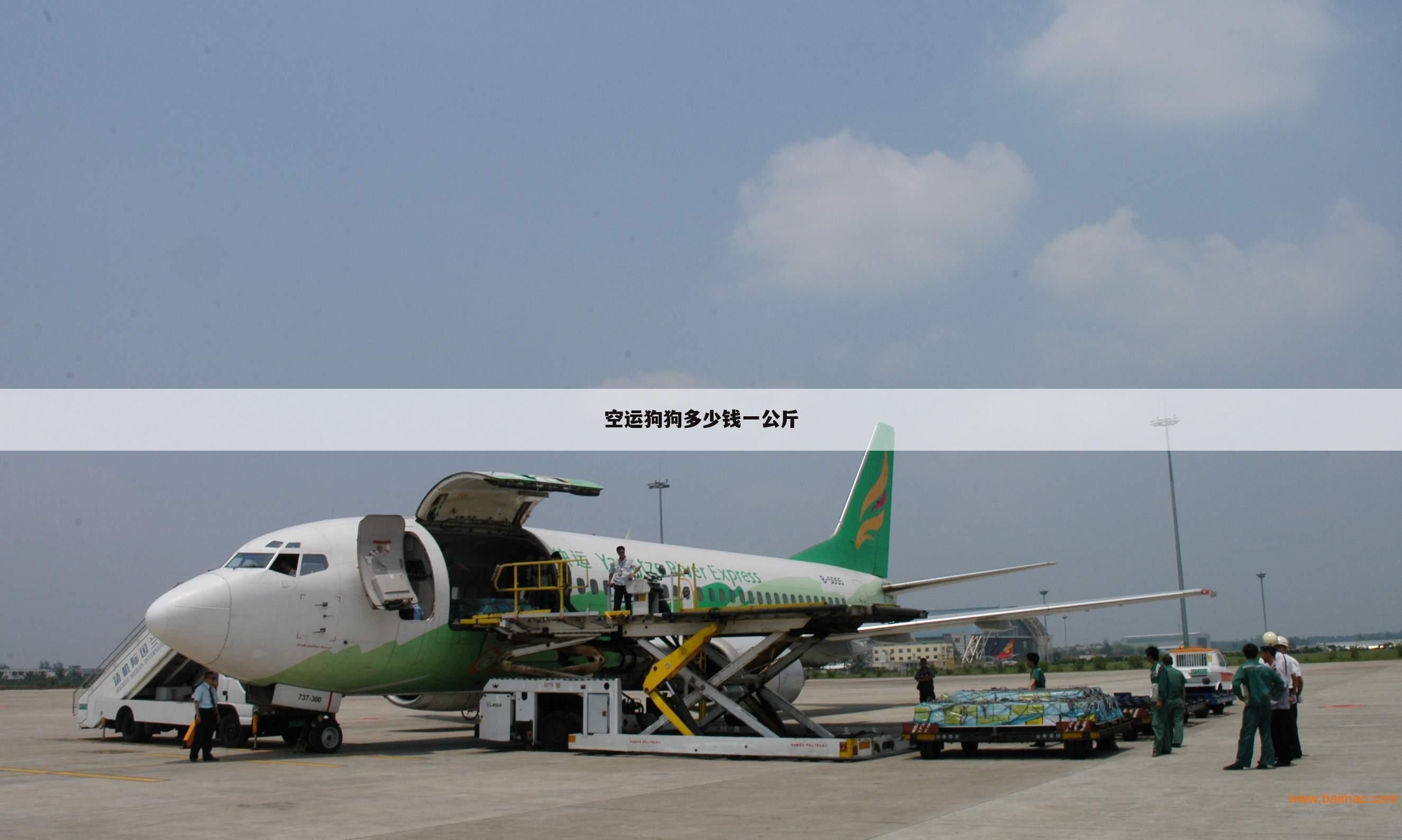 空运狗狗多少钱一公斤
