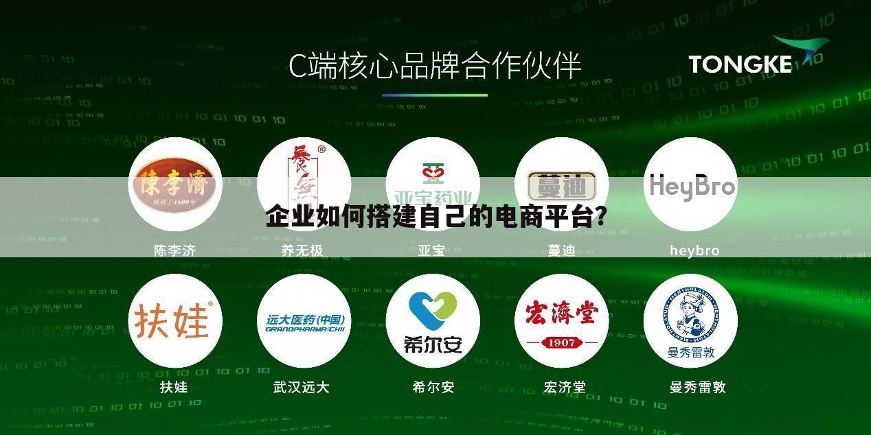 企业如何搭建自己的电商平台?