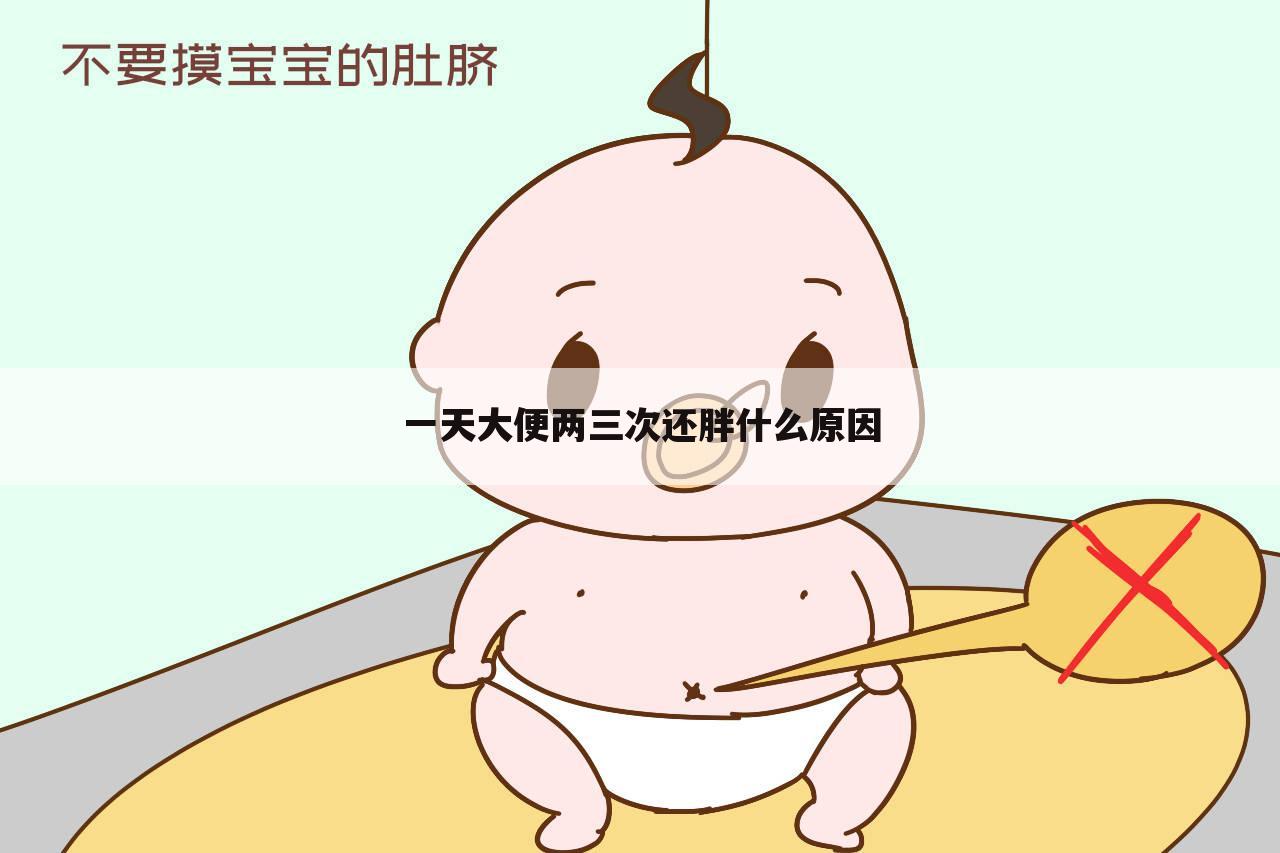 一天大便两三次还胖什么原因