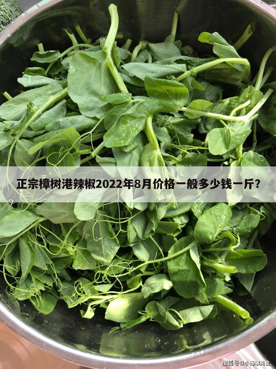 正宗樟树港辣椒2022年8月价格一般多少钱一斤?