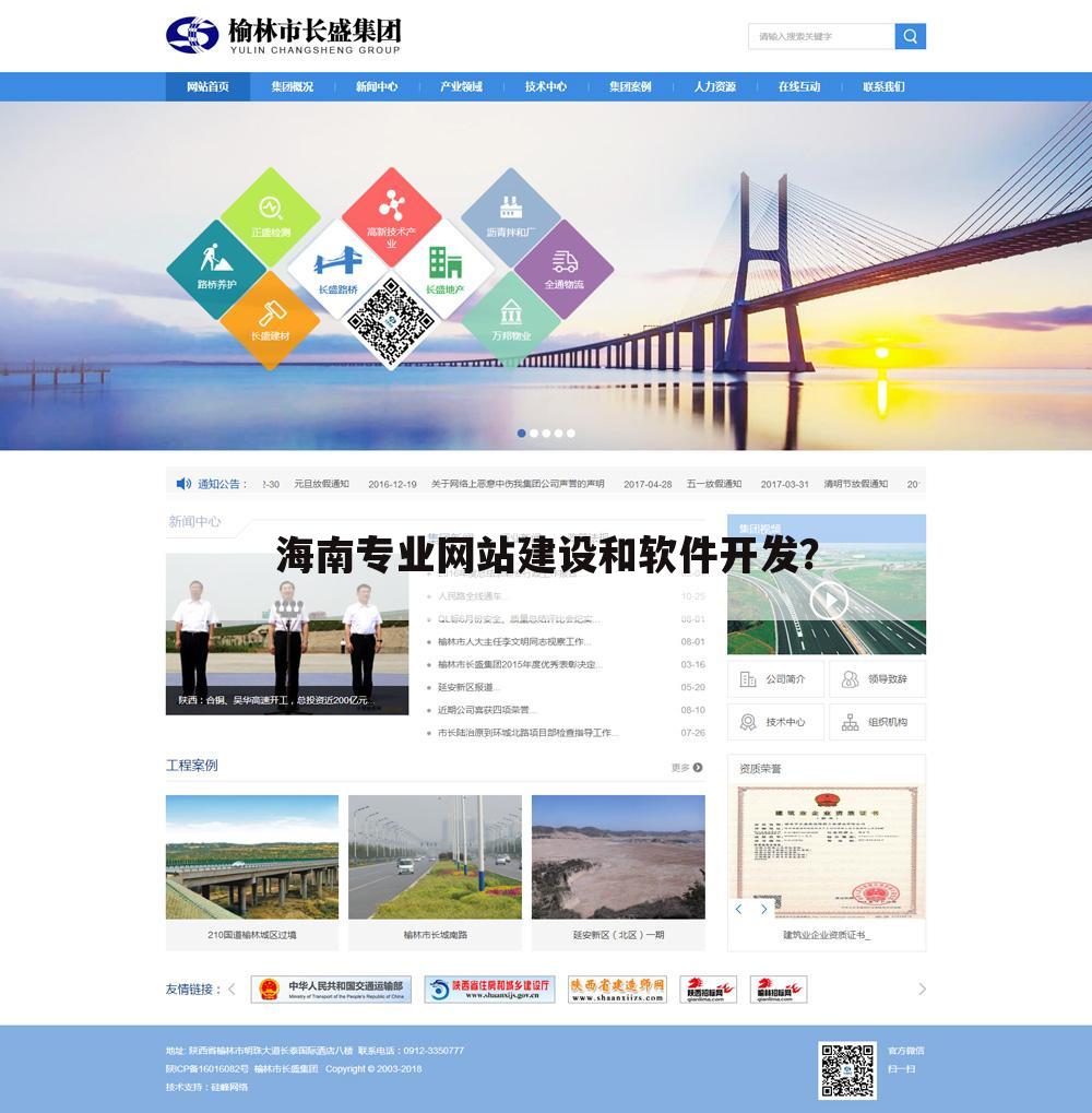 海南专业网站建设和软件开发？