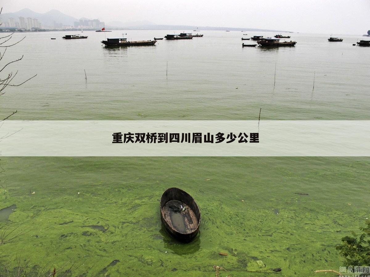 重庆双桥到四川眉山多少公里