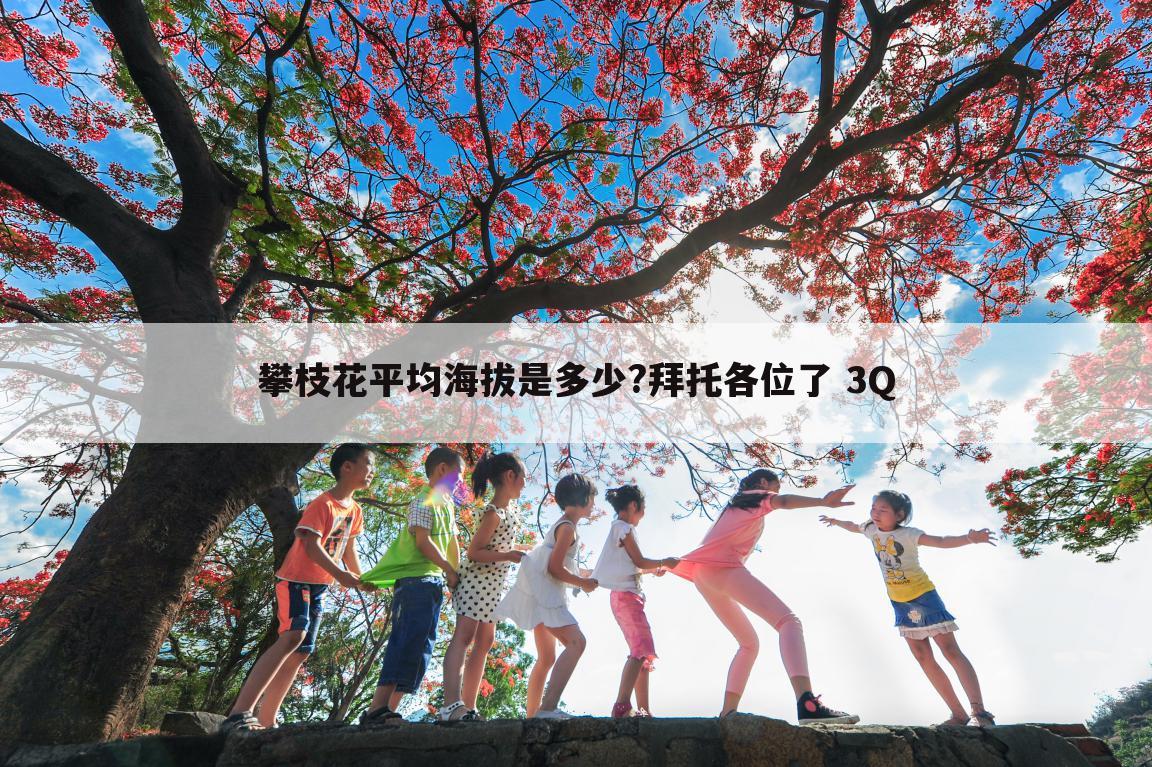 攀枝花平均海拔是多少?拜托各位了 3Q