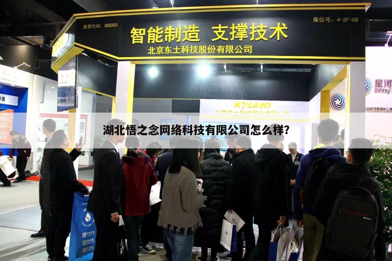 湖北悟之念网络科技有限公司怎么样？