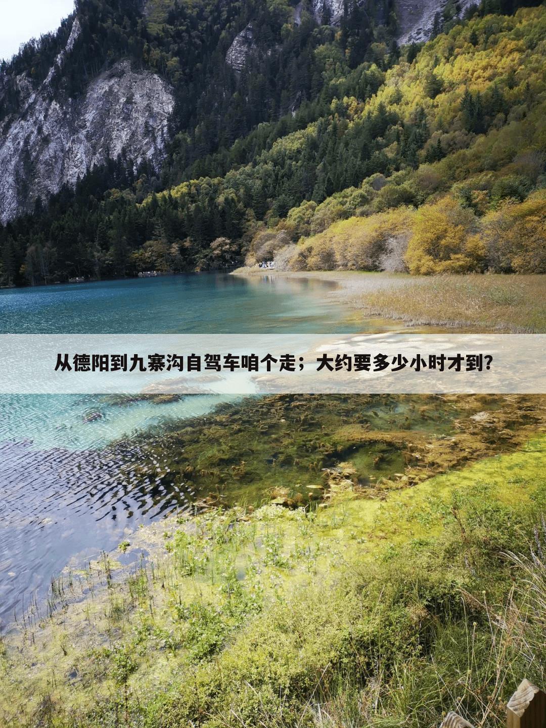 从德阳到九寨沟自驾车咱个走;大约要多少小时才到?