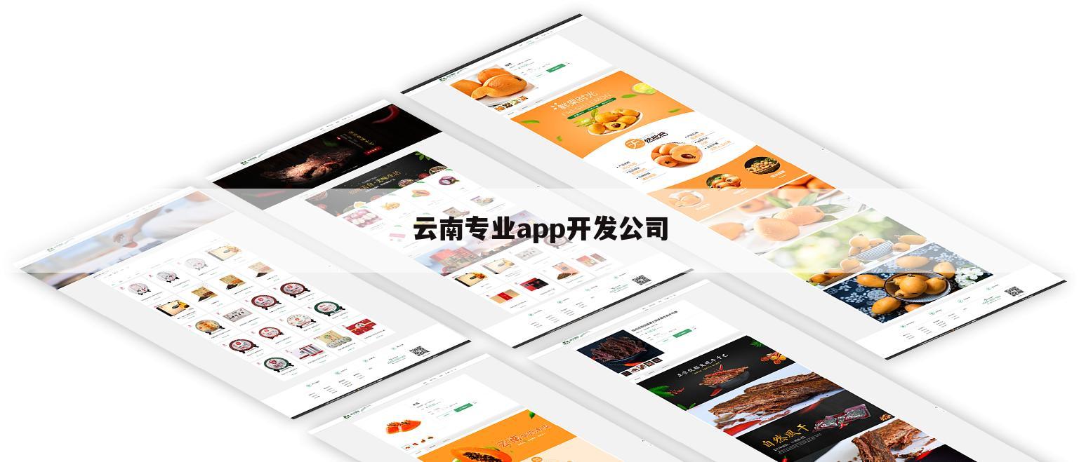 云南专业app开发公司