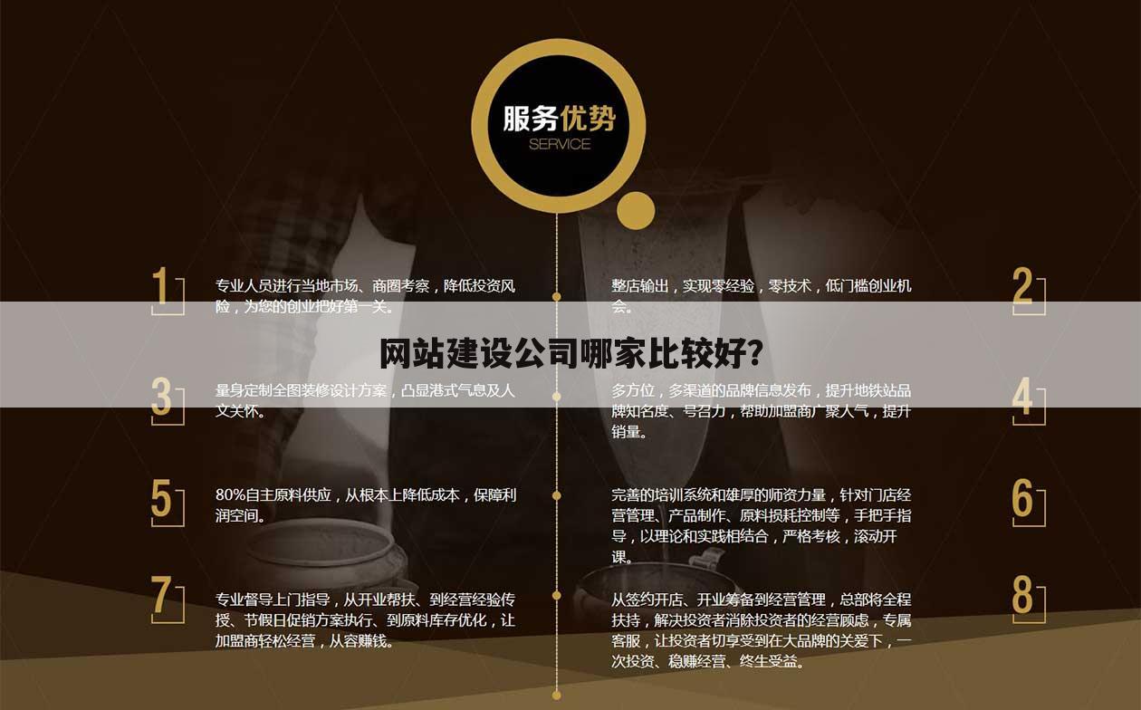 网站建设公司哪家比较好?