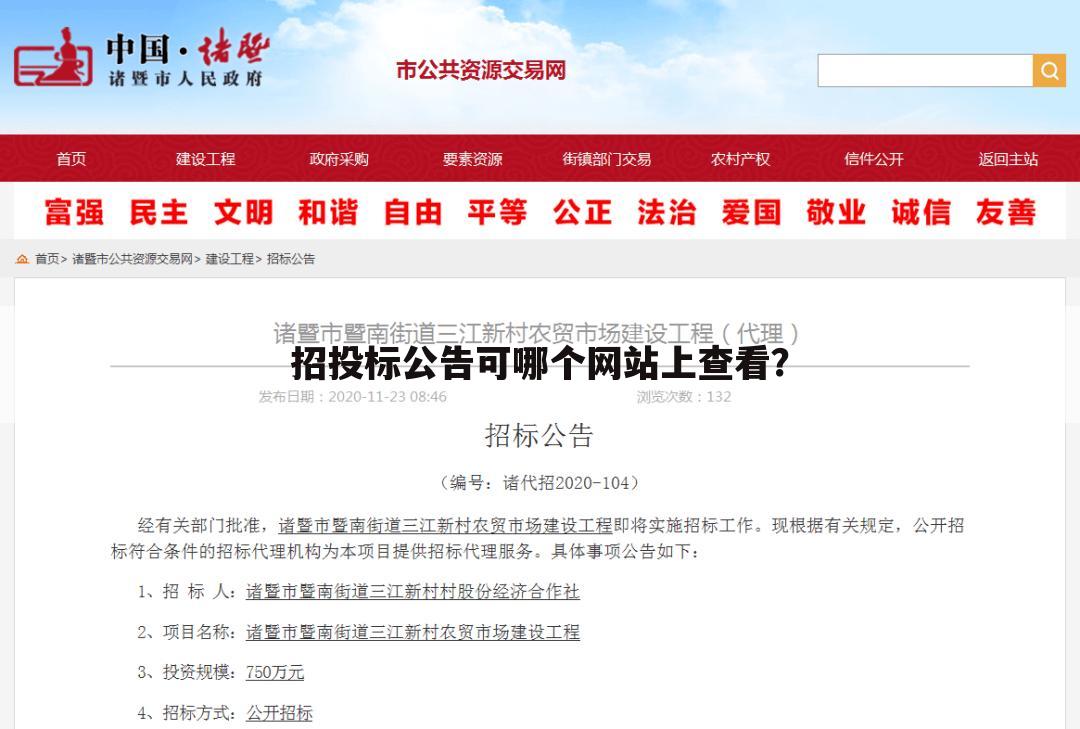 招投标公告可哪个网站上查看?