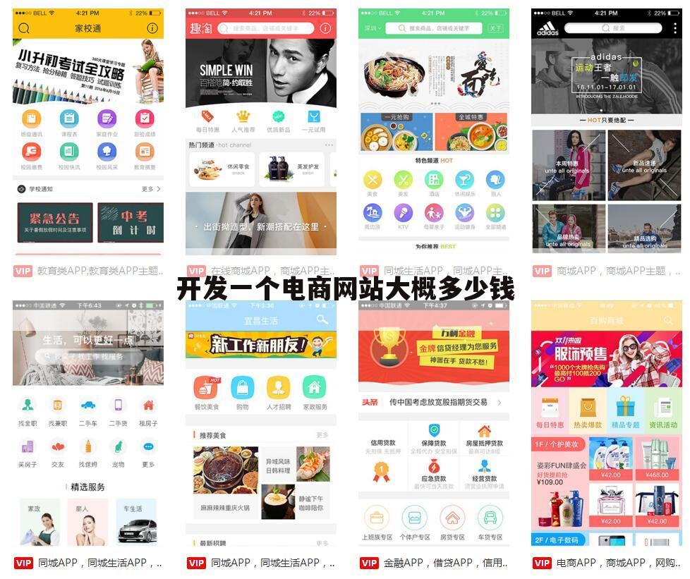 开发一个电商网站大概多少钱