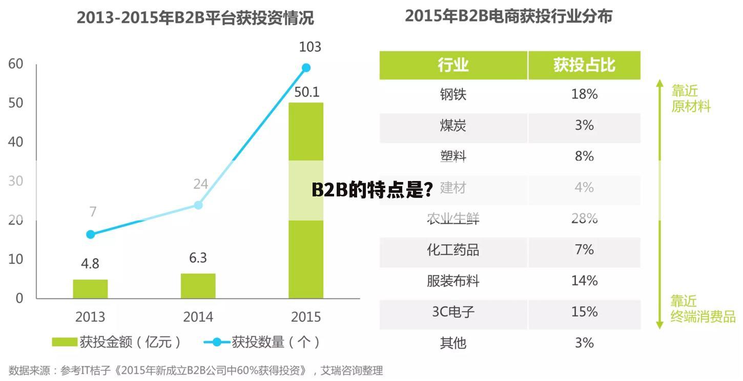B2B的特点是?