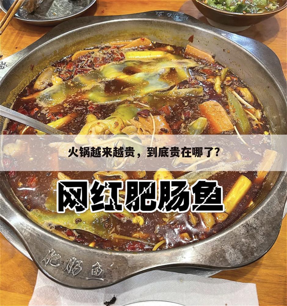 火锅越来越贵,到底贵在哪了?