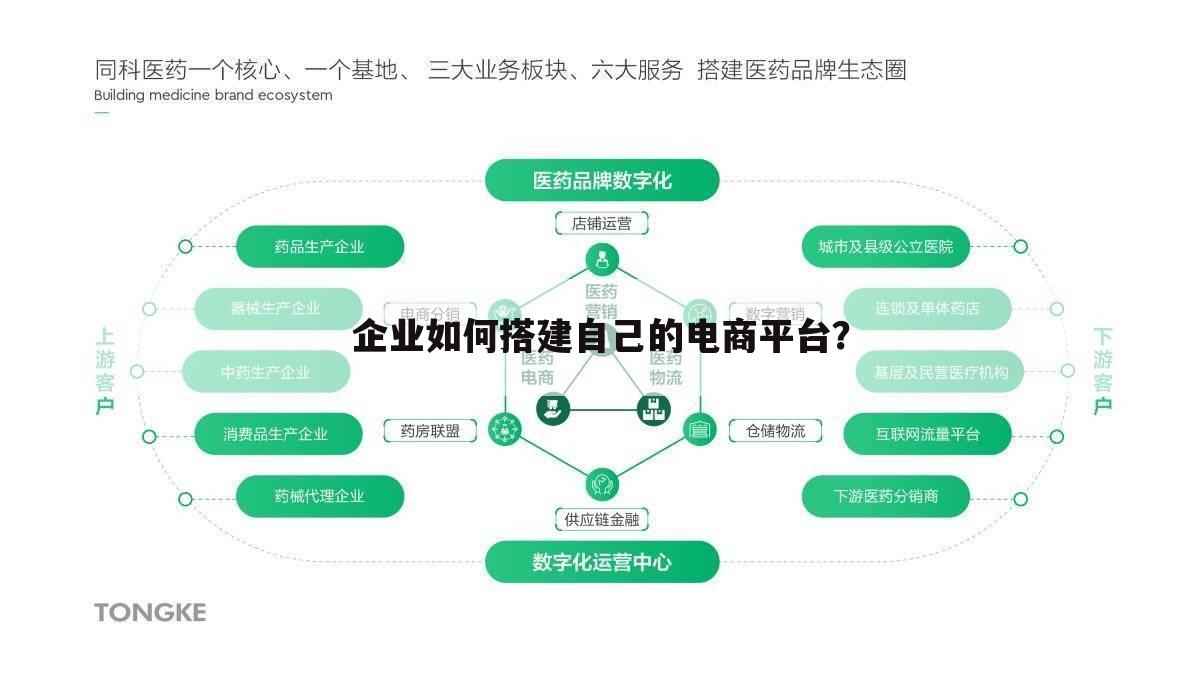 企业如何搭建自己的电商平台?