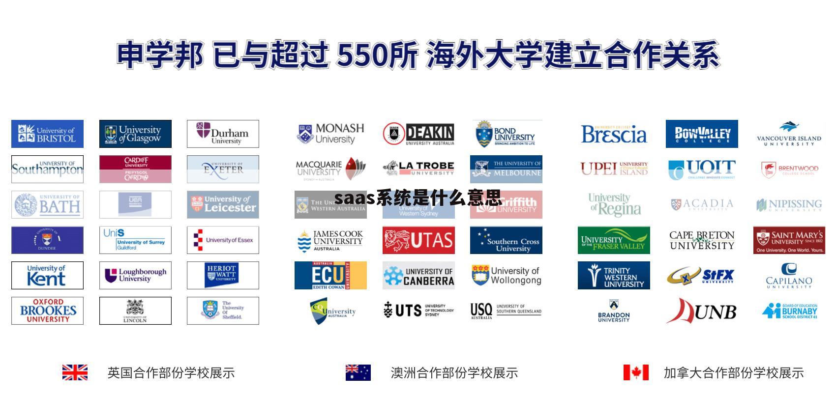 saas系统是什么意思