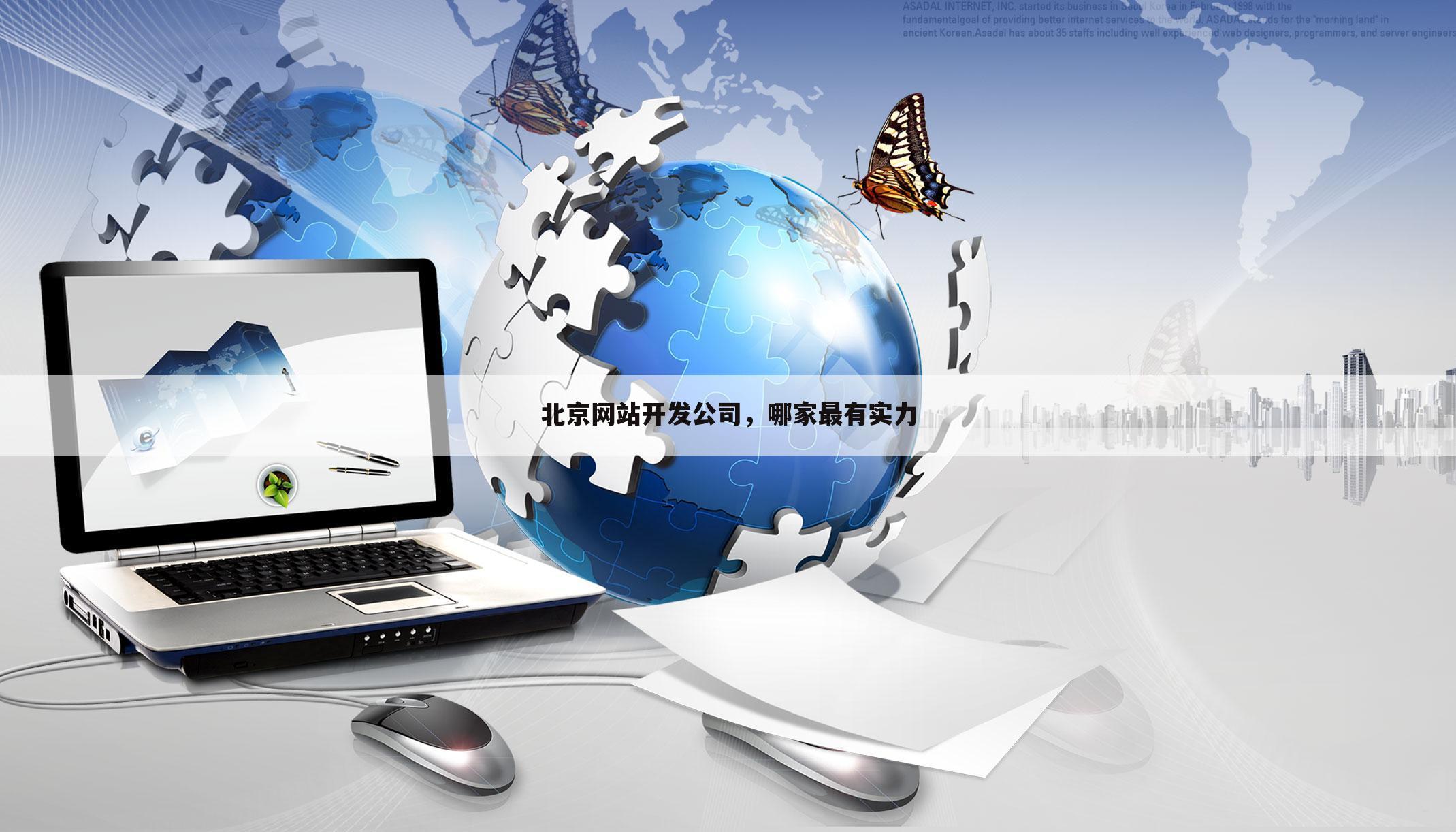 北京网站开发公司,哪家最有实力
