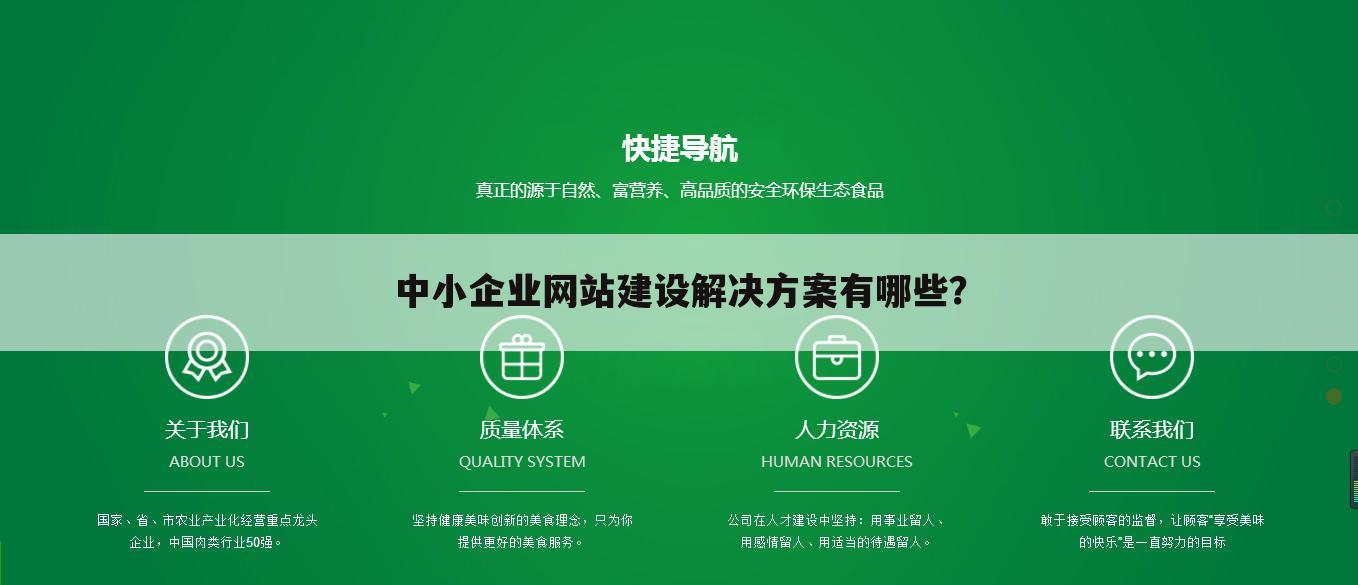 中小企业网站建设解决方案有哪些?