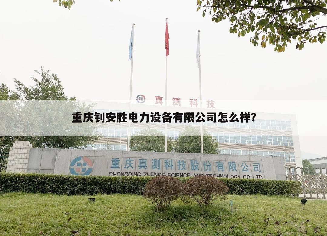 重庆钊安胜电力设备有限公司怎么样？