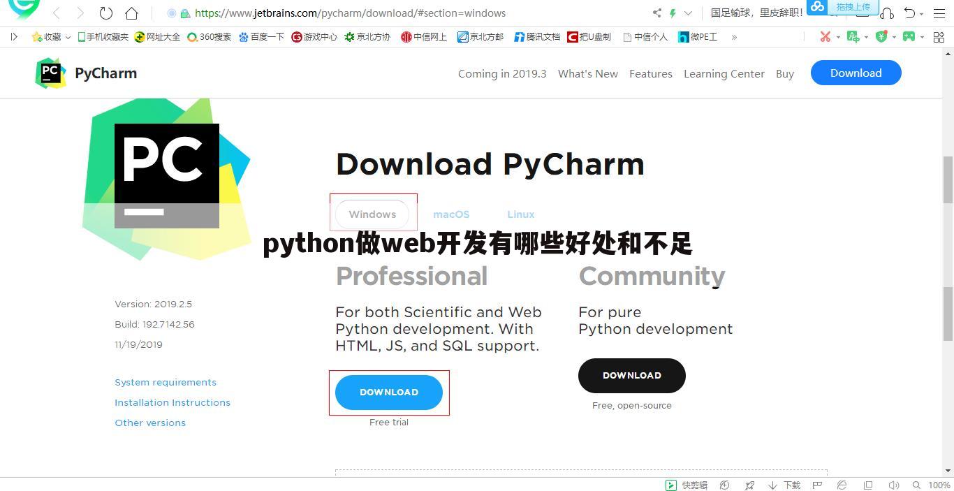 python做web开发有哪些好处和不足