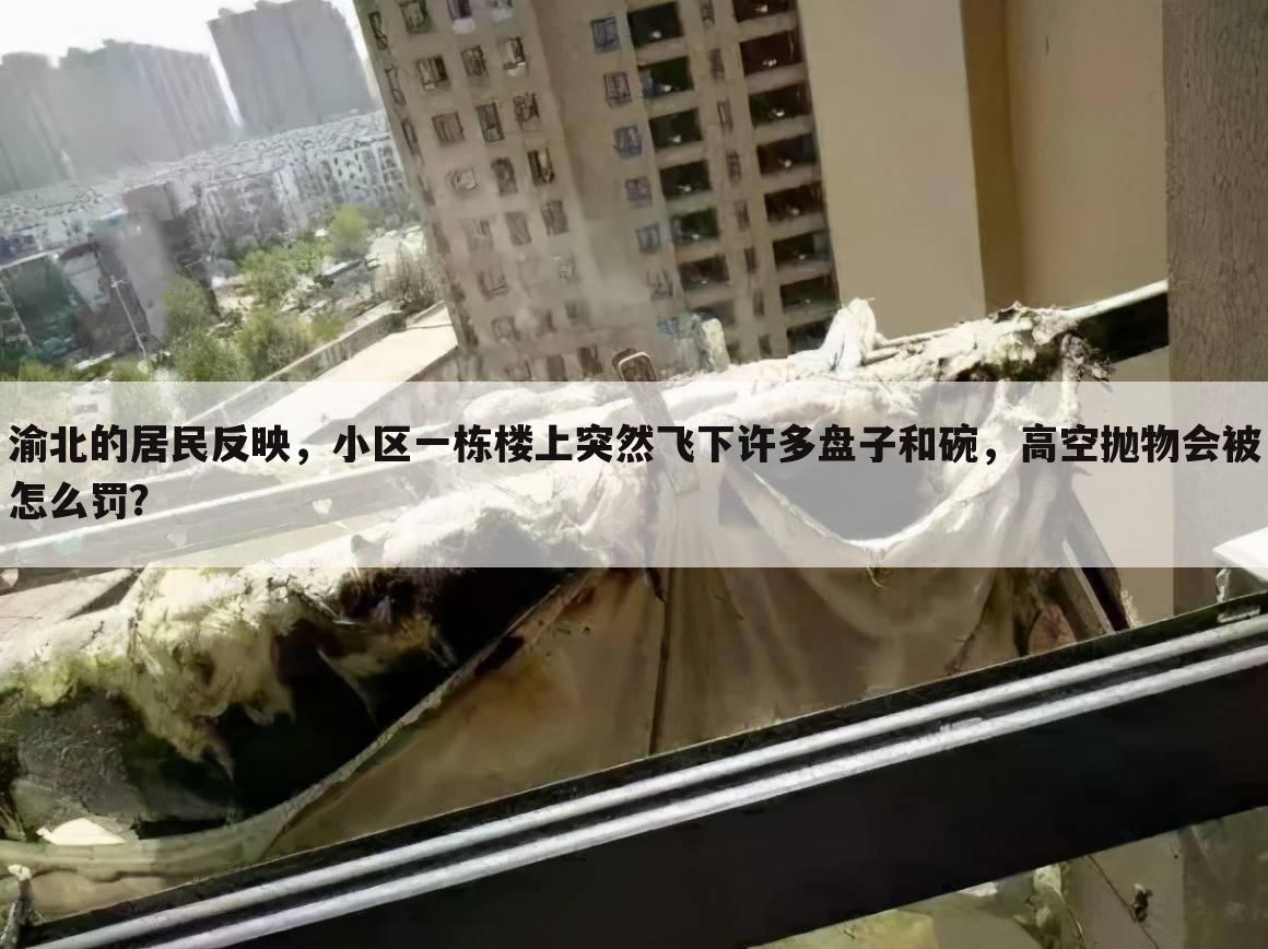 渝北的居民反映，小区一栋楼上突然飞下许多盘子和碗，高空抛物会被怎么罚？