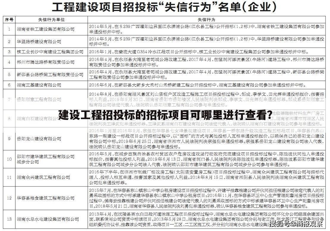 建设工程招投标的招标项目可哪里进行查看？