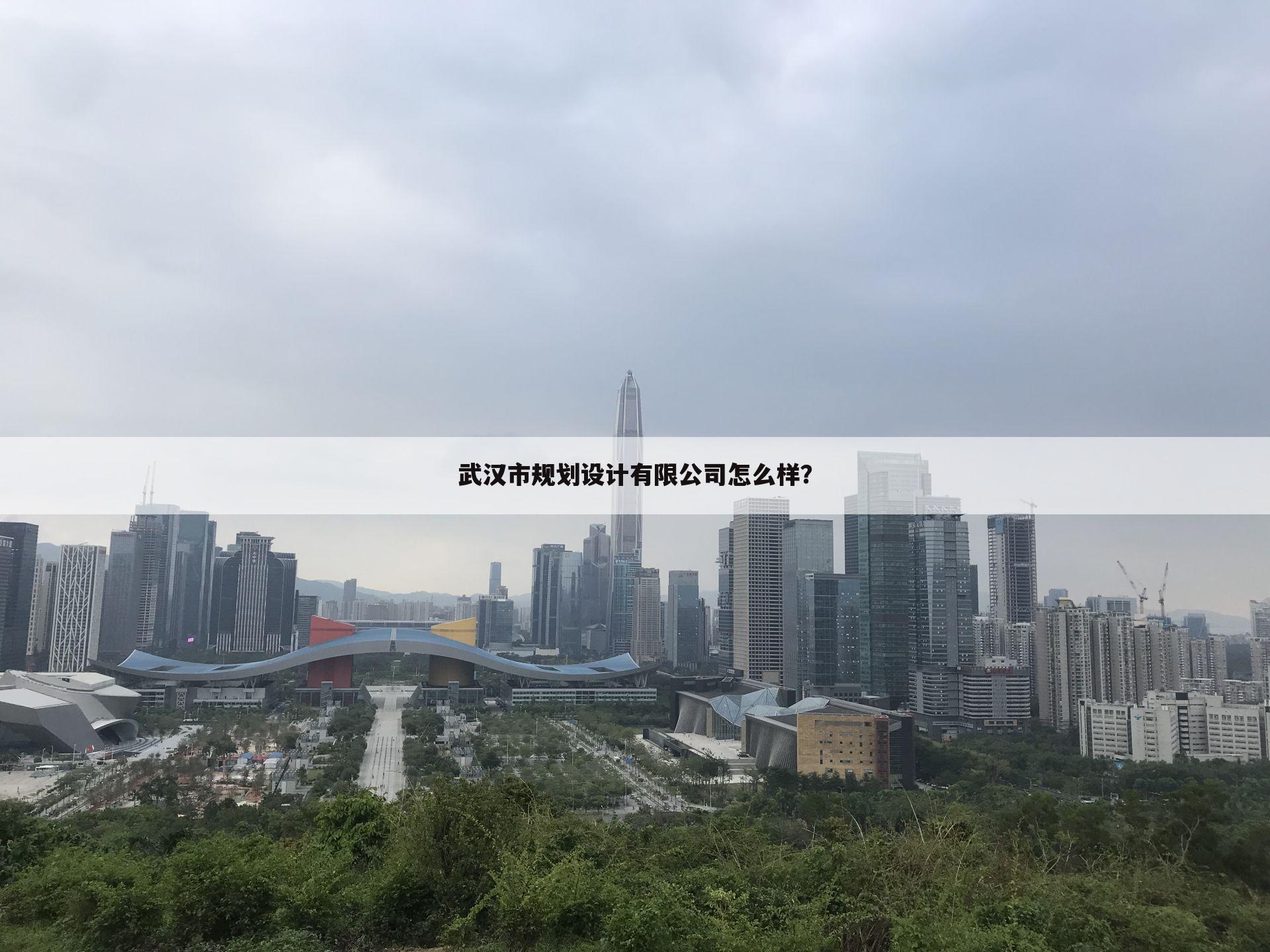 武汉市规划设计有限公司怎么样？