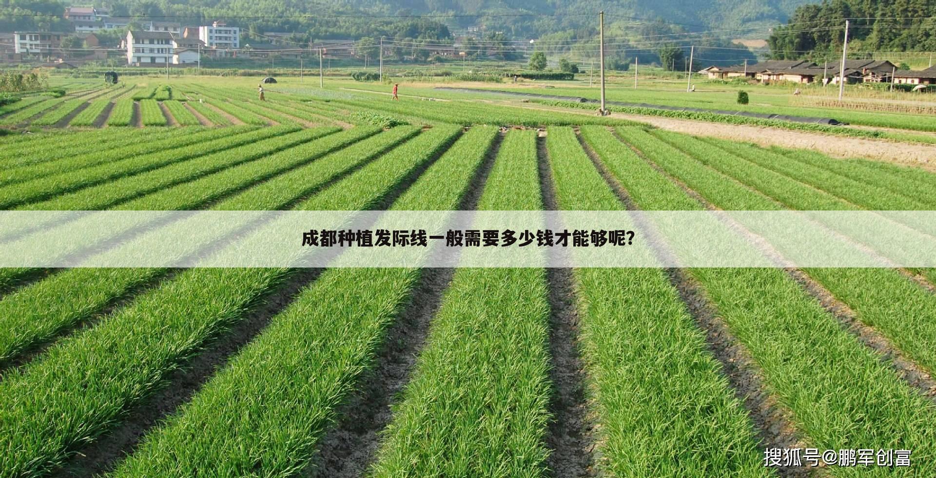 成都种植发际线一般需要多少钱才能够呢?