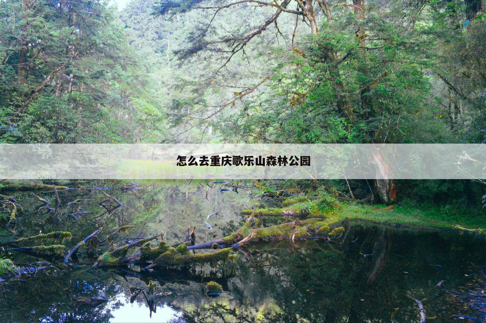 怎么去重庆歌乐山森林公园