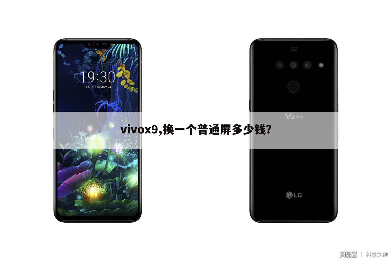 vivox9,换一个普通屏多少钱?