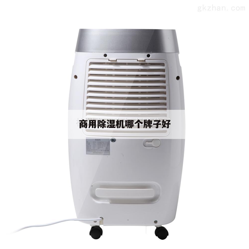 商用除湿机哪个牌子好