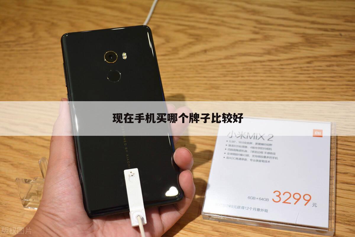 现在手机买哪个牌子比较好