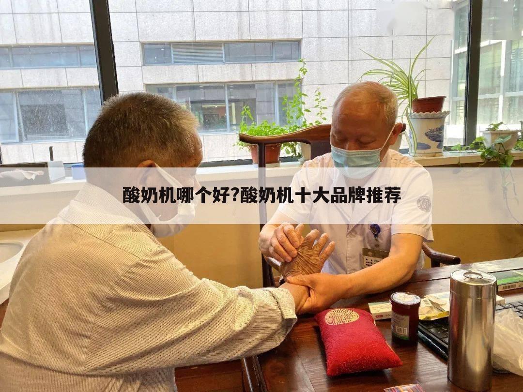 酸奶机哪个好?酸奶机十大品牌推荐