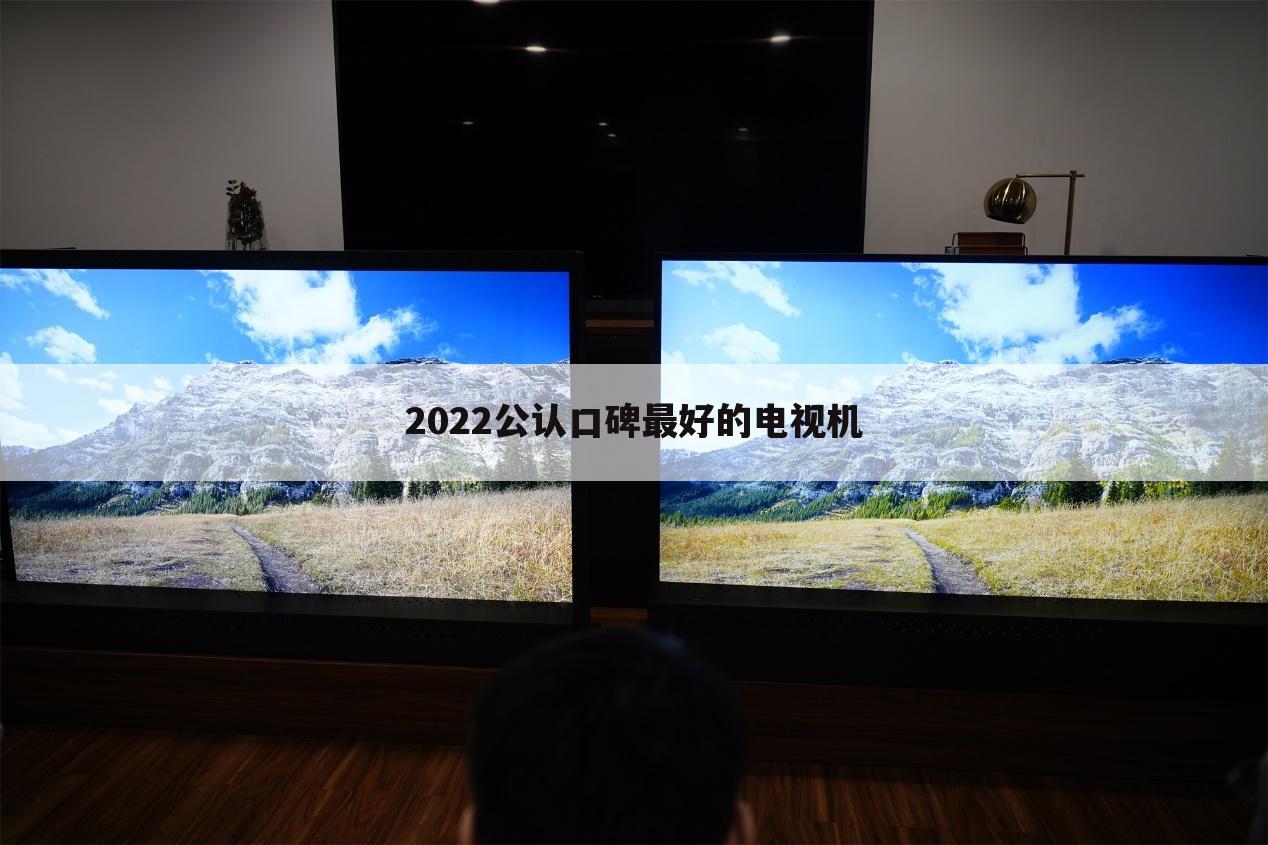 2022公认口碑最好的电视机