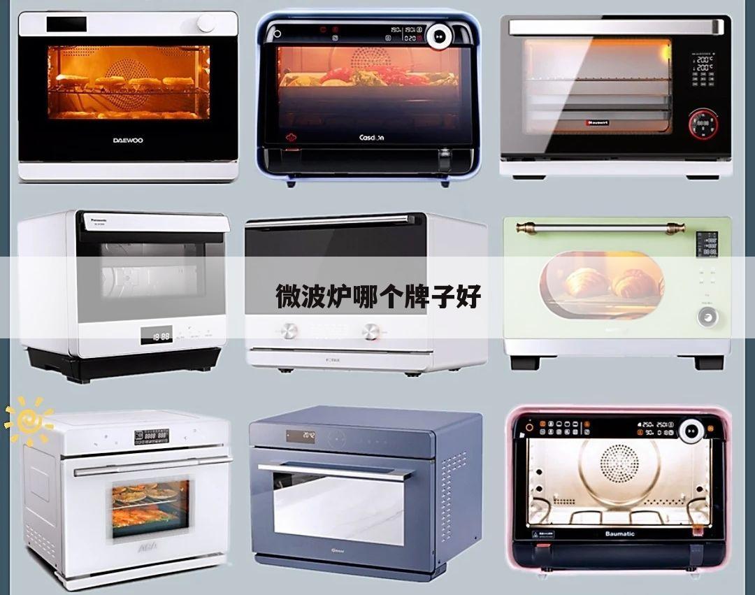 微波炉哪个牌子好
