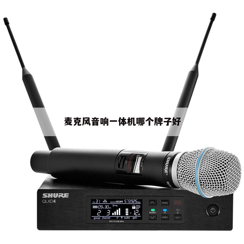 麦克风音响一体机哪个牌子好